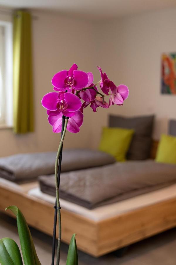 Apartment Alte Raiffeisenkasse Ротенбург-на-Таубері Екстер'єр фото